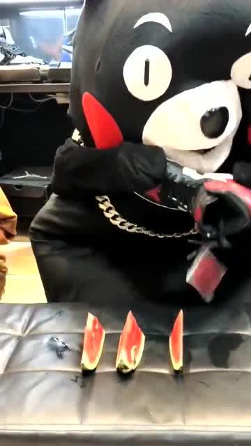 网红熊吃瓜,揭秘娱乐圈幕后真相 第2张 网红熊吃瓜,揭秘娱乐圈幕后真相 第2张