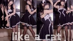 女团韩舞爆料视频 第3张 女团韩舞爆料视频 第3张